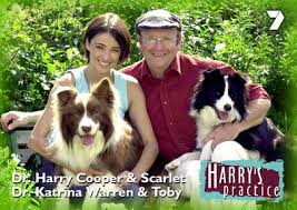 Dr harry's love of animals began at a young age. Harry S Practice Tv Series 1997 2003 Imdb
