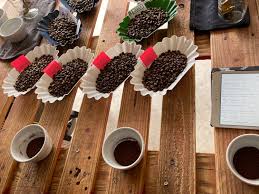 These are fashioned in a triangular manner. Green Coffee A Playground For Amazing Coffee Training In Community Rocc