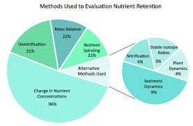 Pie Chart Representing Diverse Methods Used For Evaluating