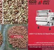 AMD Sortex(P-LGS4) Peanut Seeds Color Sorter Machine Price for Groundnuts  Kernel Sorting