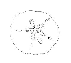 There are many different species of sand dollars. Photos Of Sand Dollar Template Sketch Clipart Wikiclipart