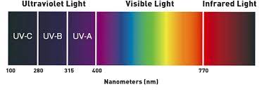 If a plant is exposed to the only. Full Spectrum Led Grow Lights The Truth You Need To Know Lumigrow