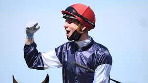 Mark macaskill's cubes of war cubicle! Melbourne Cup 2020 Winner Result Who Won The Melbourne Cup Twilight Payment Wins Melbourne Cup Results Video Finishing Order Office Sweep