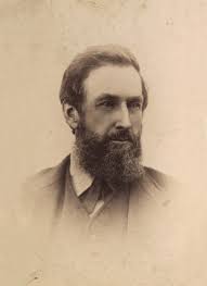 Collins Company History