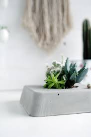 Check spelling or type a new query. Diy Concrete Planter Box For Succulent Plants