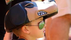 Tennessee Volunteers vs. Ohio Bobcats