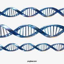 Glossy Blue Dna Helix Structure 3d Element Dna Blue Sequence Png Transparent Clipart Image And Psd File For Free Download Fentezi
