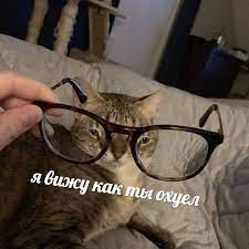 pin ot polzovatelya paradoxwakeup na doske v mire zhivotnyh rabochie memy memy smeshnye memy