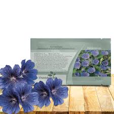 Image result for Geranium bohemicum Orhcid Blue