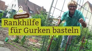 Anbau von gurken im garten. Rankhilfe Fur Gurken Selbst Gemacht Aus Gitter Und Hasendraht Recycling Im Garten Youtube
