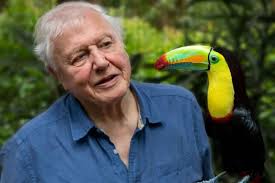 Streaming reviews: The Gentlmen and Secret World of Sound with David  Attenborough