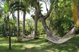 Norm S Place Labadie Haiti