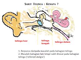 Vitamins, herbal supplements, etc.), allergies. Sakit Telinga Perlukah Ubat Titis Health Info Fingertip