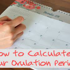 How To Calculate Your Ovulation Period Using Your Menstrual Cycle Wehavekids