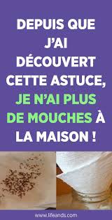 Elles Ont Beau Etre Minuscules Les Mouches A Fruits Peuvent Etre Particulierement Insistantes Et Nous Menent La Vie Dure Surtout Astuces Mouches Bol De Fruits