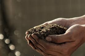 New Agriculture Technology In Modern Farming Plug And Play Tech Center