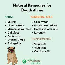 Treating it is not exactly a picnic either. Natural Dog Asthma Remedies To Help A Dog Breathe Better