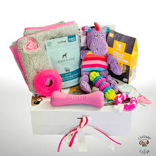 It's simply the best shoe box at the best price. Puppy Paradise Dog Gift Box Girl Chomp And Chew