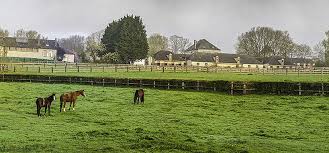 Shiply peut vous aider à organiser un transport de matériel agricole ou un transport de tracteur pas cher facilement et rapidement en vous mettant en rapport avec des transporteurs souhaitant trouver des chargements pour leurs trajets de retour. Acheter Un Terrain Agricole A Quel Prix