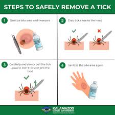 Image result for Tick Removal