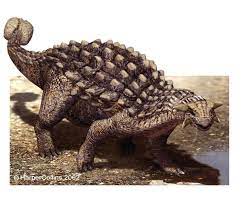 ankylosaurus armor plated and on the defense prehistoric animals dinosaur creatures cas de coloriage