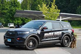 Image result for Stone Gray 2022 Responder