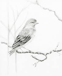 Hand Drawn Simple Bird On Branch Drawing Realistic Pencil Drawings Of Birds Fine Art Blogger Bird Drawings Bird Pencil Drawing Bird Art Print