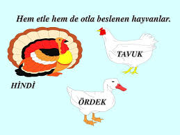 ppt hazirlayan powerpoint presentation free download id 4169984