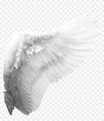 Wings Sticker White Angel Wings Png Clipart 231926 Pikpng Free angel wing transparent graphics for creativity and artistic fun. wings sticker white angel wings png