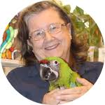 Increasing survival of macaw chicks using foster macaw parents in the wild 