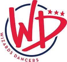 Wizard cap carachter logo vector. Wizards Dancers Washington Wizards