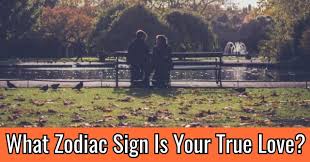 We've rounded up some of our favorite cookbooks according to each zodiac sign's key character. What Zodiac Sign Is Your True Love Quizdoo