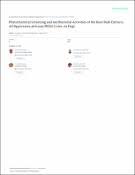 Image result for Hippocratea africana