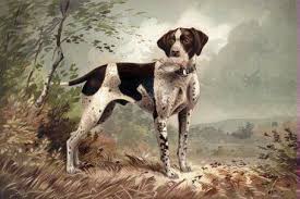 Dogs Names The Most Popular Of The Pack 1875 Dog Paintings Dog Art Hunting Dogs