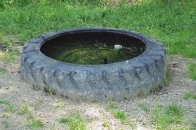 It consists of a long trough filled with water, lying between the rails. Livestock Water Development Ohioline