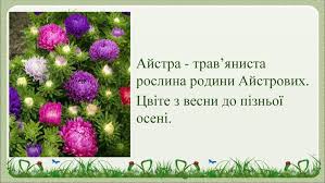 Презентація "Олег Буцень. "Айстри""