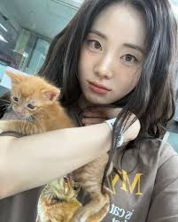 누가 고양이인지 모르겠네에에😍😍😍😍😍 https://www.instagram.com/p/DJ_M3gOxgnE/