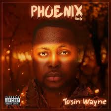 Tosin Wayne