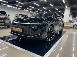 Image result for Black 2024 Crown