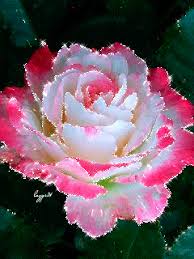 Maybe you would like to learn more about one of these? Write Your Name On Beautiful Happy Birthday Cake Gif Gifaya