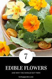 7 Flowers You Can Eat Edible Flowers Edible Fruit Garden