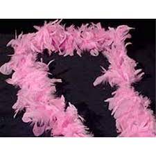 Girls Party Favors Pink Feather Boa Girls Party Favors Pink Zebra Party Pink Party Favors