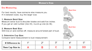 Hanes Website Bra Sizing Chart How To Determine Your Bra