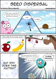 Amoeba Sisters Seed Dispersal Seed Dispersal Science Projects Biology Lessons