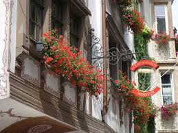 Une bonne flammenkueche, ça passerai bieeeeen ! Volotea Strasbourg Et Sa Choucroute