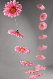 Gerbera Daisy Garlands 18 Flowers 6 Ft Pink Save 25 Daisy Wedding Theme Gerbera Daisy Gerbera