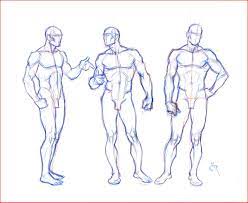 Drawing of the male internal sexual anatomy. Male Anatomy Drawing Male Anatomy Drawing 149105 Figure Drawing Poses Male At Getdrawings Figure Drawin Human Figure Drawing Figure Drawing Male Figure Drawing