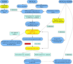 Wong, chin & cheah (khwcc) was established in year 2003, is an amalgamation of the two firms (one which was established in year 1998 and the other year 2000) established by the current partners whom have individually practiced for at least 21 years each bringing together the combined. Prognostic Implications Of Metabolism Associated Gene Signatures In Colorectal Cancer Peerj