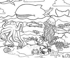 These free printable ocean coloring pages online will provide a sense of adventure for your kid. Printable Ocean Coloring Sheets Novocom Top