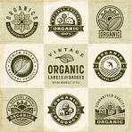 99,400+ Agriculture Logo Stock Illustrations, Royalty-Free ...
